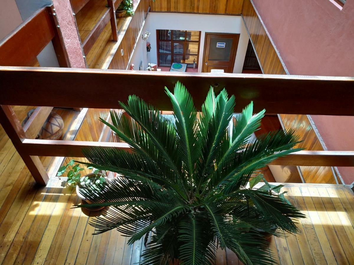 Aleida'S Hostal Puembo Zewnętrze zdjęcie