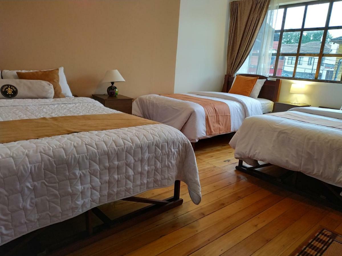 Aleida'S Hostal Puembo Zewnętrze zdjęcie